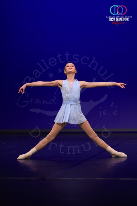 GDO_20226_013