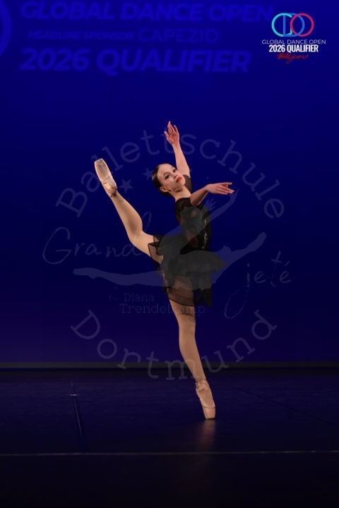 GDO_20226_017