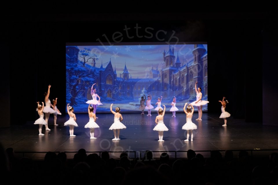 DSudB_2025_003 DSudB_2025_003