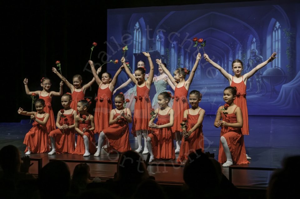 DSudB_2025_020 DSudB_2025_020